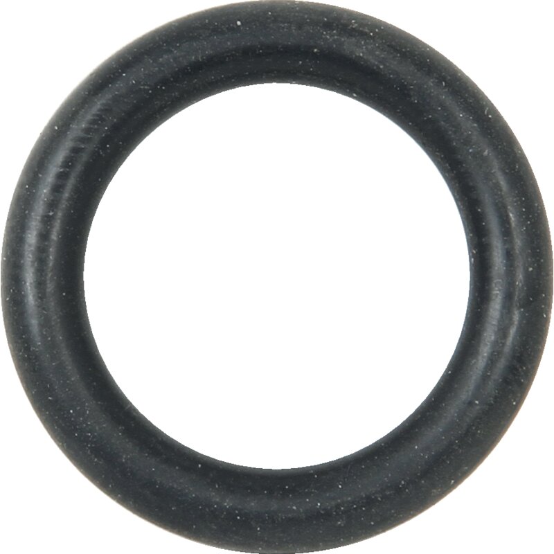 O-Ring für Pulsatorsitz