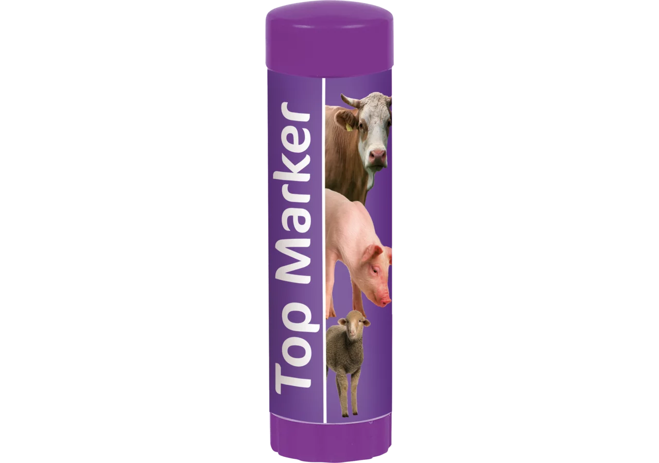 Viehzeichenstift 60 ml, Violett, 10 Stück Top Marker GartenShop24