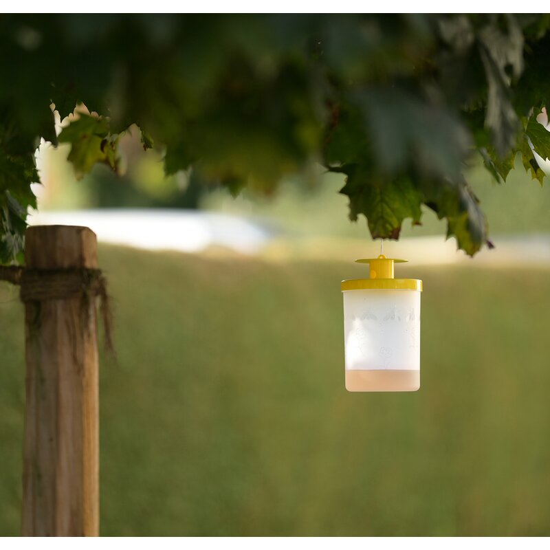 Fliegenfalle inkl. Lockstoff cit FlyCage3 GartenShop24 - Hochwertige Gartengeräte