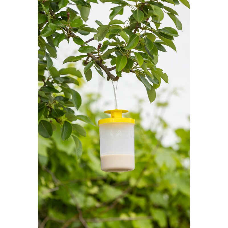 Fliegenfalle inkl. Lockstoff cit FlyCage3 GartenShop24 - Hochwertige Gartengeräte