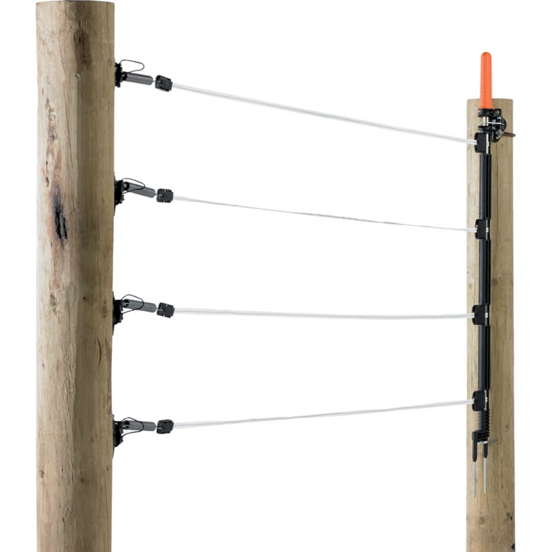 Gallagher Torset mehrdrähtig, Weiß, 4 Stromleiter, 12,5 mm Breitband, 6 m Gallagher 718040 Gallagher