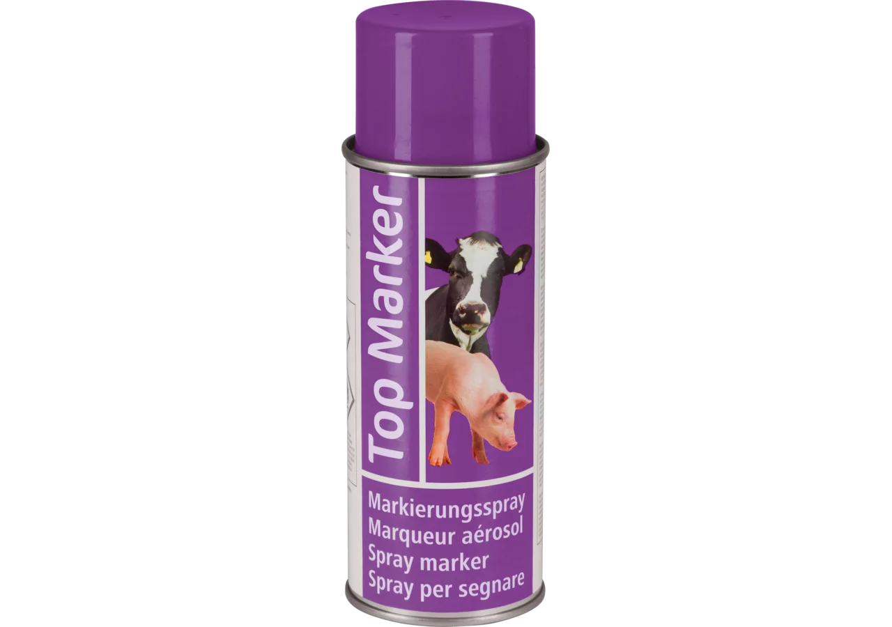 Markierungsspray 500 ml, Violett Top Marker GartenShop24