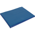 Desinfektionsmatte Blau 55x45x3 cm Stalleingang – Hygienematte für krankheitsempfindliche Ställe