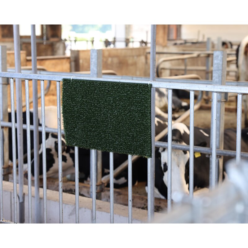 Kratz-/Reinigungsmatte Grün, L 40 x B 60 cm GartenShop24 - Hochwertige Gartengeräte