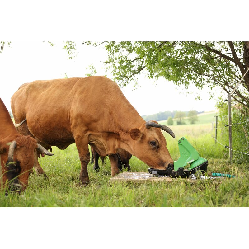 Weidepumpe P 100 Duo, mit Kalb-Tränkebehälter GartenShop24 - Hochwertige Gartengeräte