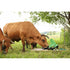 Weidepumpe P 100 Duo, mit Kalb-Tränkebehälter GartenShop24 - Hochwertige Gartengeräte