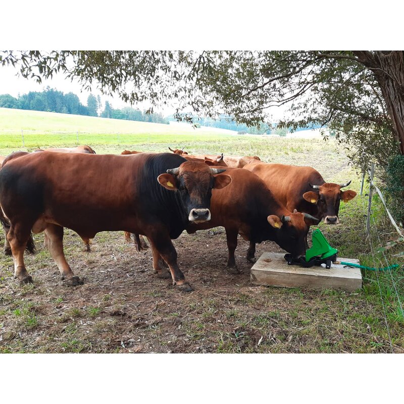 Weidepumpe P 100 Duo, mit Kalb-Tränkebehälter GartenShop24 - Hochwertige Gartengeräte