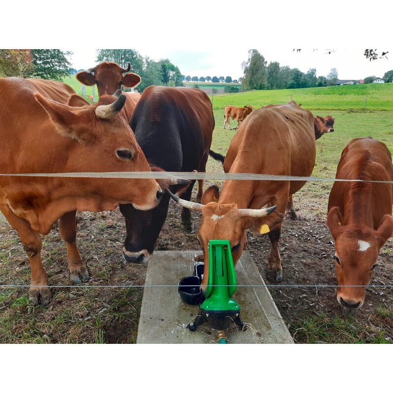 Weidepumpe P 100 Duo, mit Kalb-Tränkebehälter GartenShop24 - Hochwertige Gartengeräte
