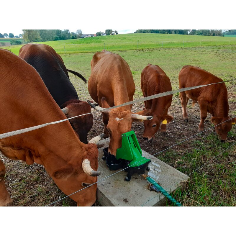 Weidepumpe P 100 Duo, mit Kalb-Tränkebehälter GartenShop24 - Hochwertige Gartengeräte