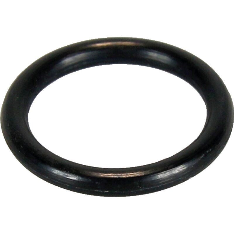 Suevia O-Ring für Trogfluter-Gehäuse Suevia 102.9413 Suevia