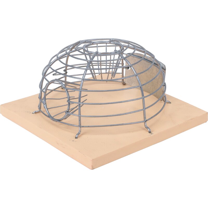 Mausefalle Korb, Alive – Korb-Mausefalle AliveAbmessung 15 x 15 x 7 GartenShop24 - Hochwertige Gartengeräte