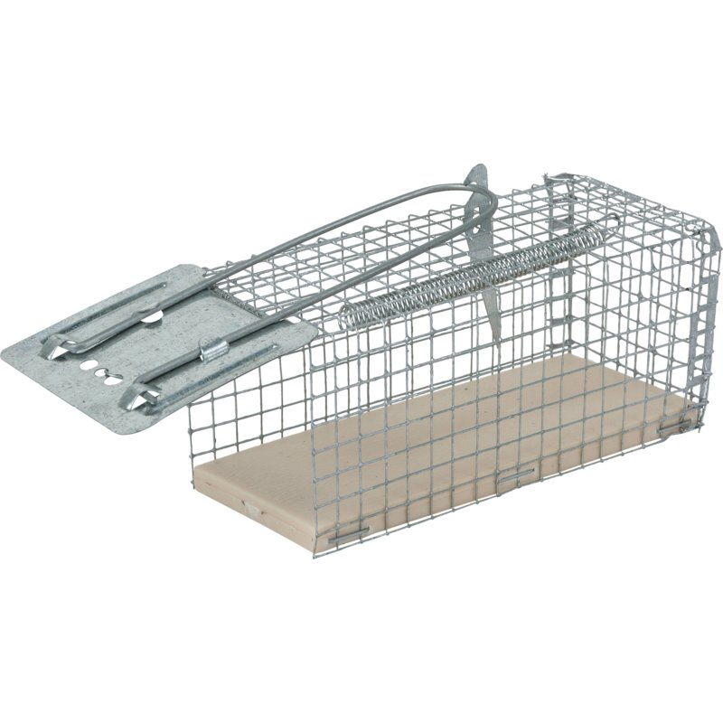Mausefalle Drahtkäfig, Alive – Drahtkäfig-Mausefalle AliveAbmessung 12 x 5 GartenShop24 - Hochwertige Gartengeräte