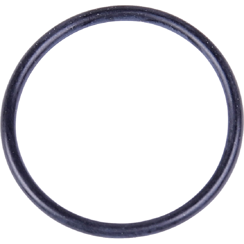 O-Ring für Elektro-Pulsator EP100 – Hitzebeständig