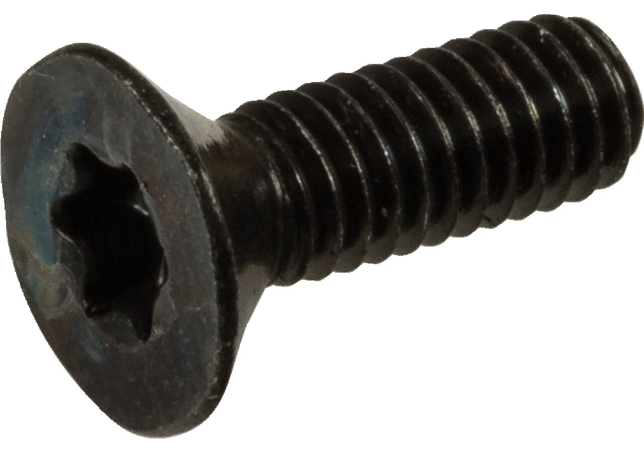 Senkschraube M 4 x 10 mm passend zu 00768423, 00768421, 00768309, 00768308 Eder