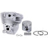 Stihl Zylindersatz mit Kolben AD 47 mm 11400201200 Stihl