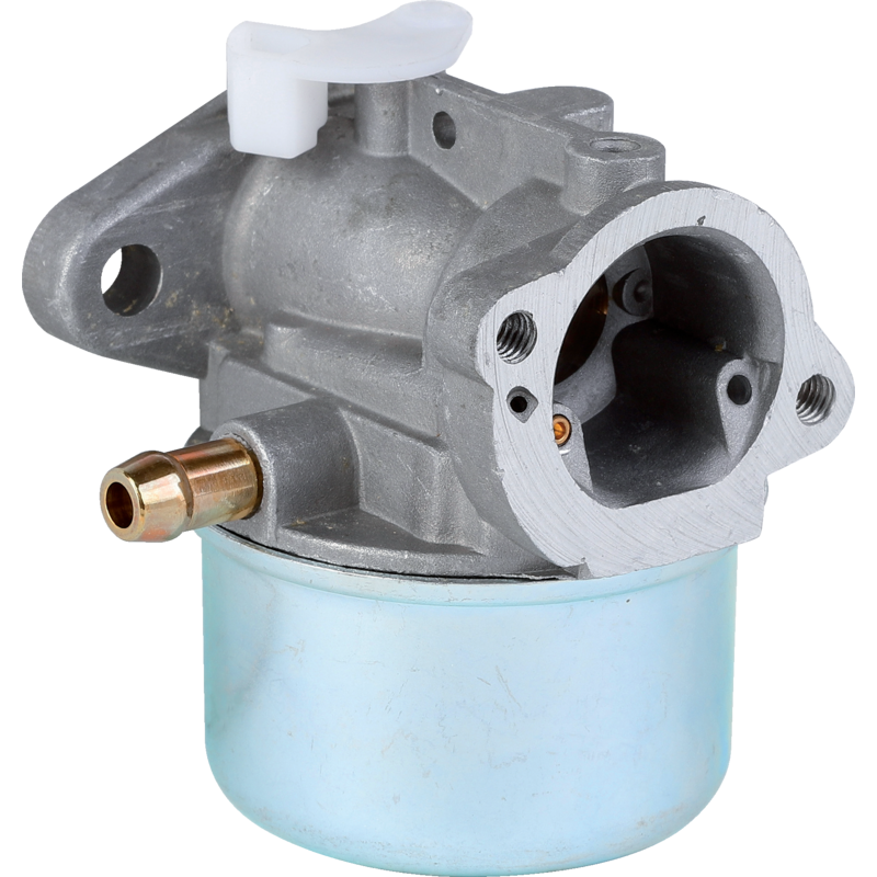 Briggs Vergaser 790120