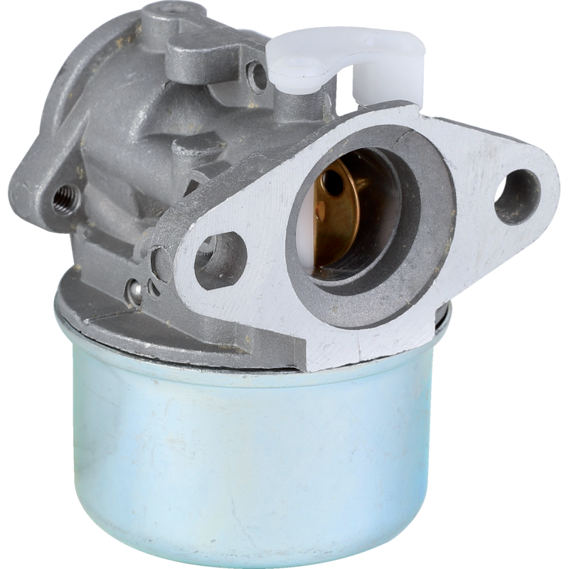Briggs Vergaser 790120