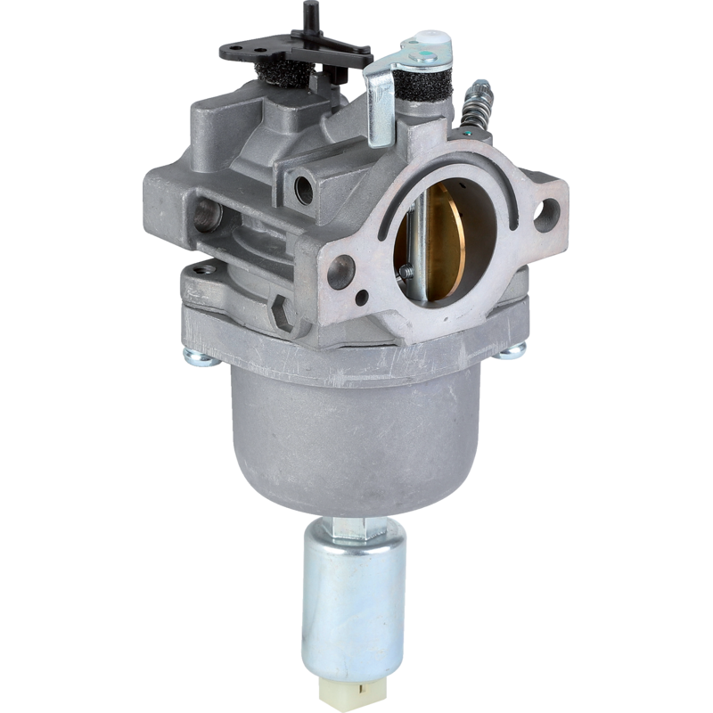 Briggs Vergaser 699109