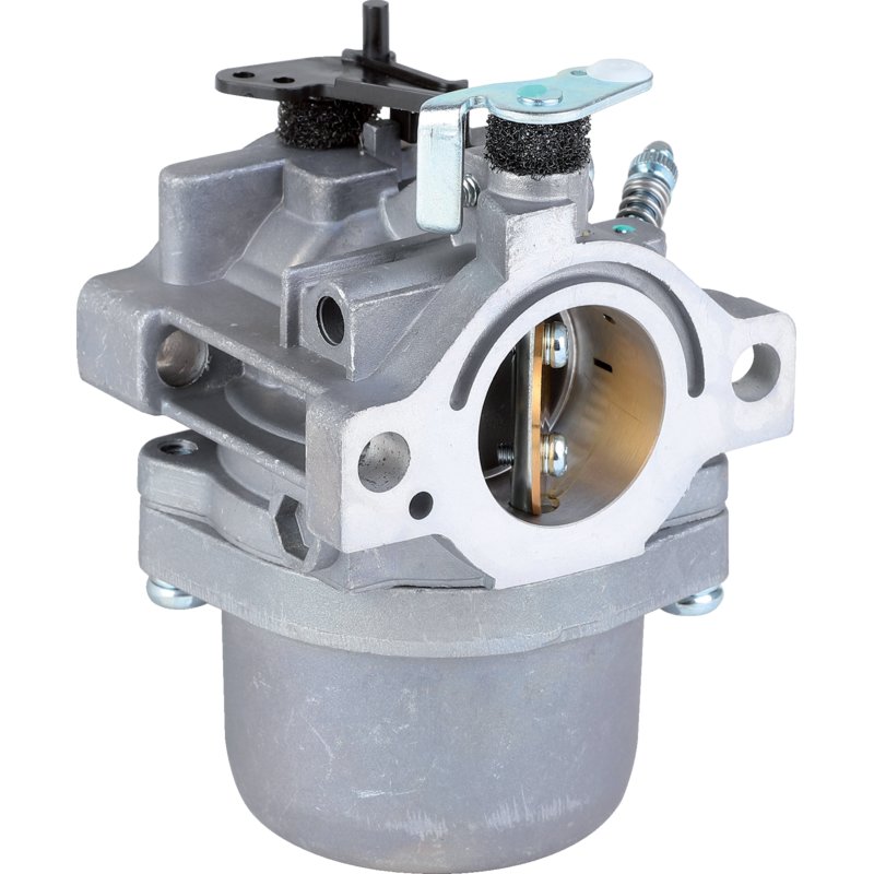 Briggs Vergaser 799728