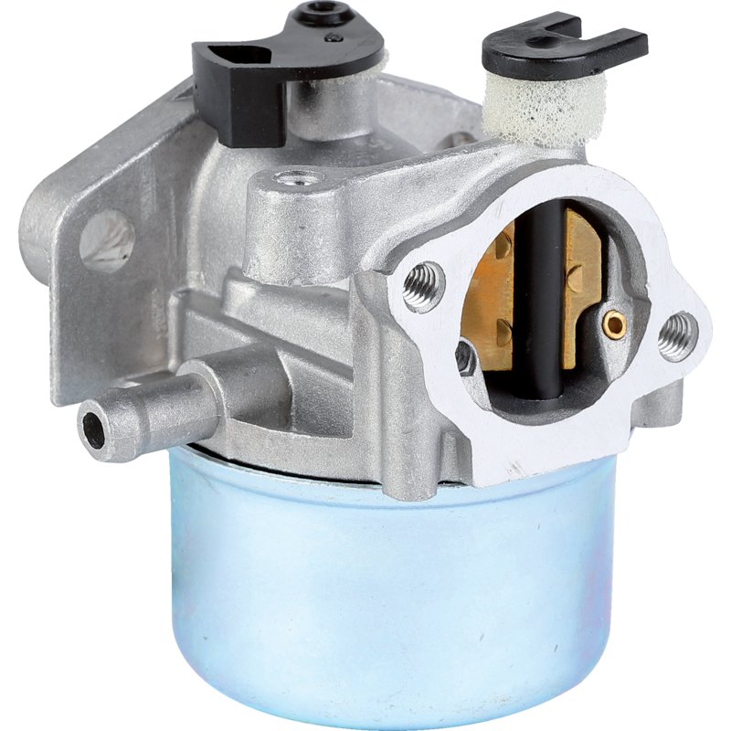 Briggs Vergaser 794304