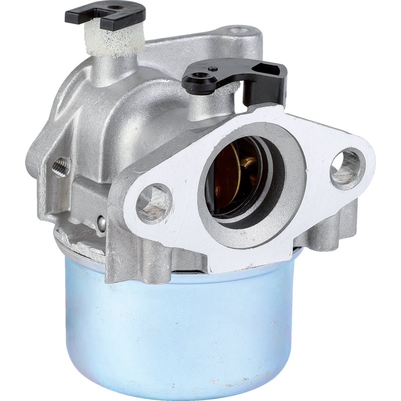 Briggs Vergaser 794304