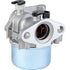Briggs Vergaser 794304