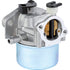 Briggs Vergaser 794304