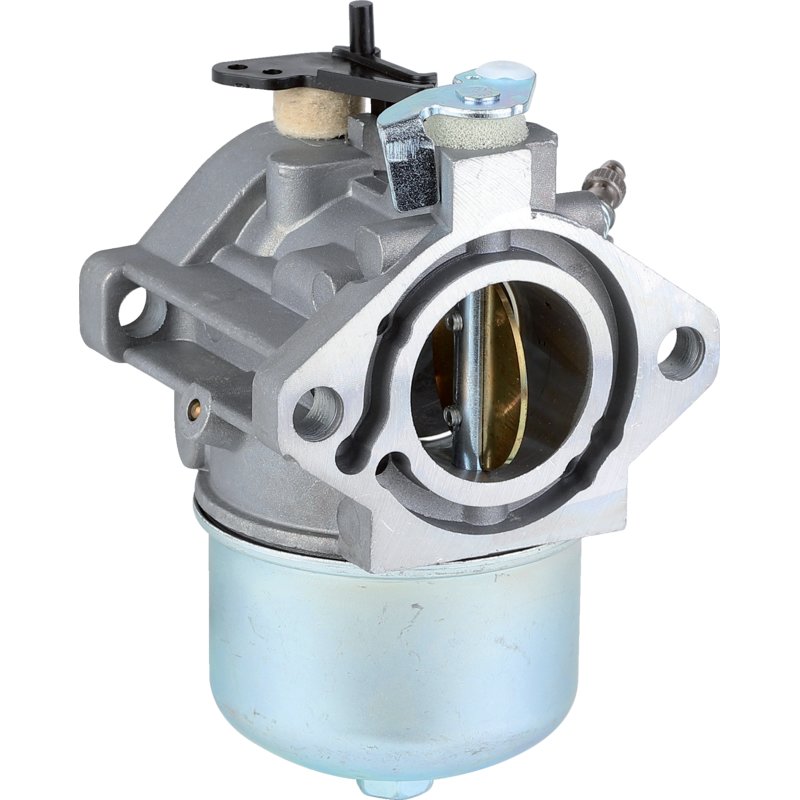 Briggs Vergaser 694941