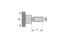 Rändelschraube M5 x 20 mm Stahl verzinkt, DIN464 GartenShop24
