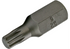 Schraubenbit M6 x 30 mm, Vielzahn mit 10 mm Sechskantaufnahme SW-Stahl