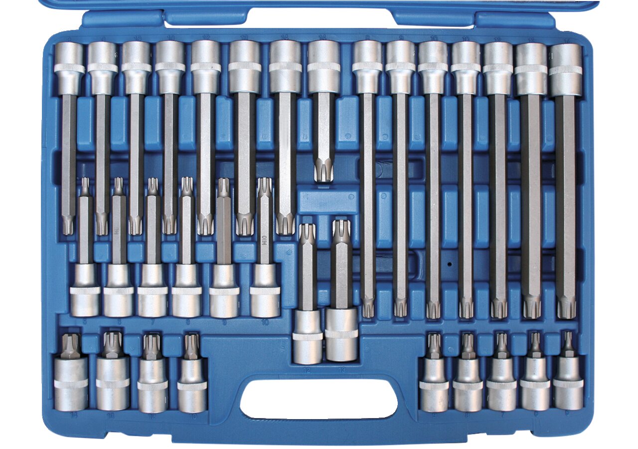 Schraubendreheinsatz 32-teilig, M5 - M14, RIBE-Profil mit 1/2 Zoll Antrieb SW-Stahl