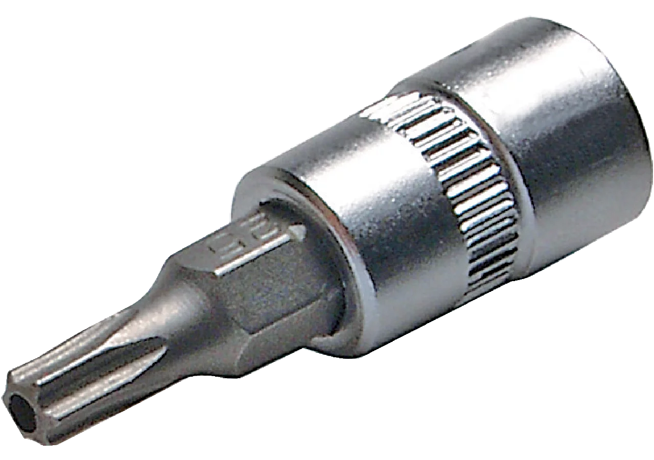 Schraubendreheinsatz T40 x 38 mm, T-Profil mit Loch und 1/4 Zoll Antrieb SW-Stahl