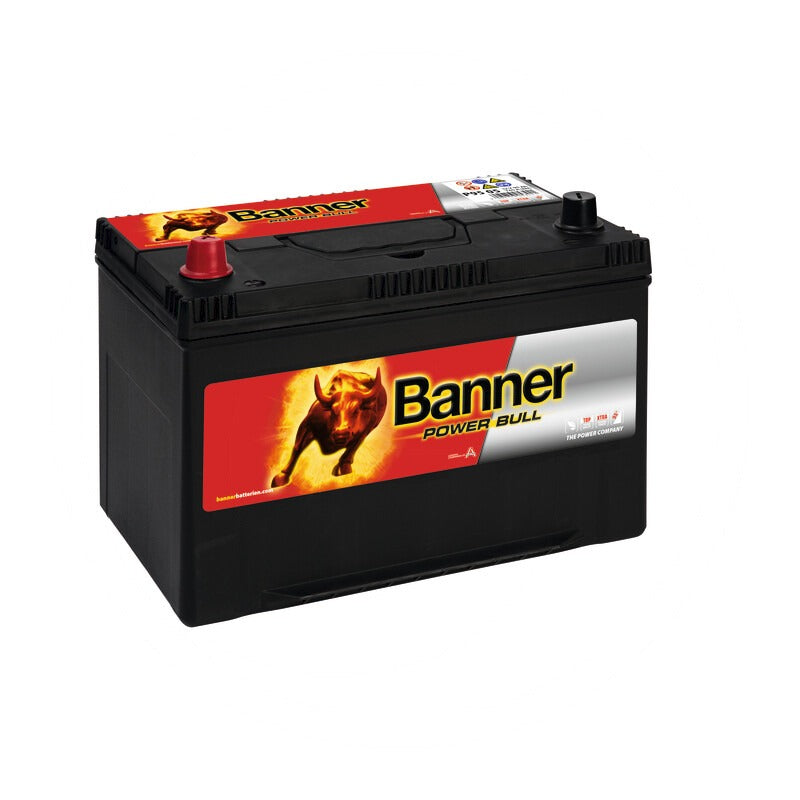 Banner Starterbatterie, Ca-Ca, 95Ah – 303 mm – AP29991