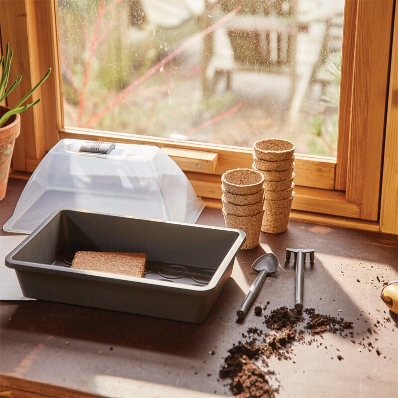 GRANIT Anzucht Starter-KIT – Bild 4