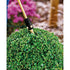 Gloria Haus und Garten Pflanzenschutzset – 500 mm – Bild 2