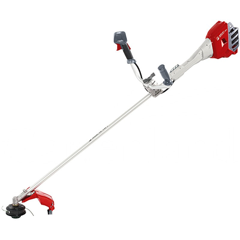 Efco Akku Freischneider Satz DSi 530 T Efco