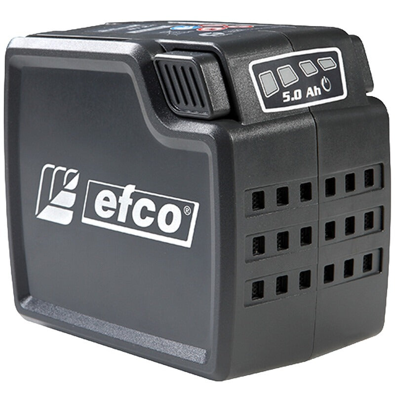 Efco Akku 40 V 5.0 Ah Efco
