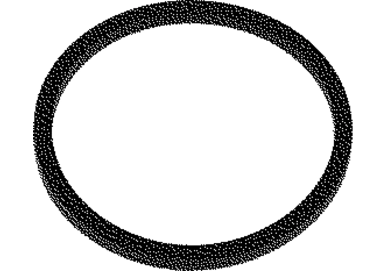 McCormick O-Ring 239-5129 (39,34 x 2,51 mm, CL5) McCormick