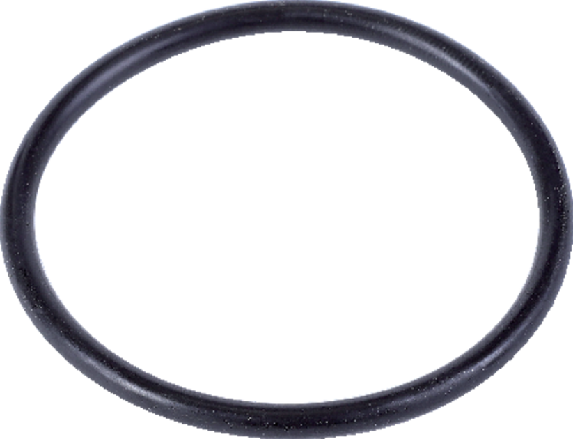 McCormick O-Ring Kraftstoffbehälter 3229809R1 McCormick