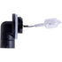 McCormick Lampe für Arbeitsscheinwerfer 12V/50W PGJ13 GE886 3671279M1