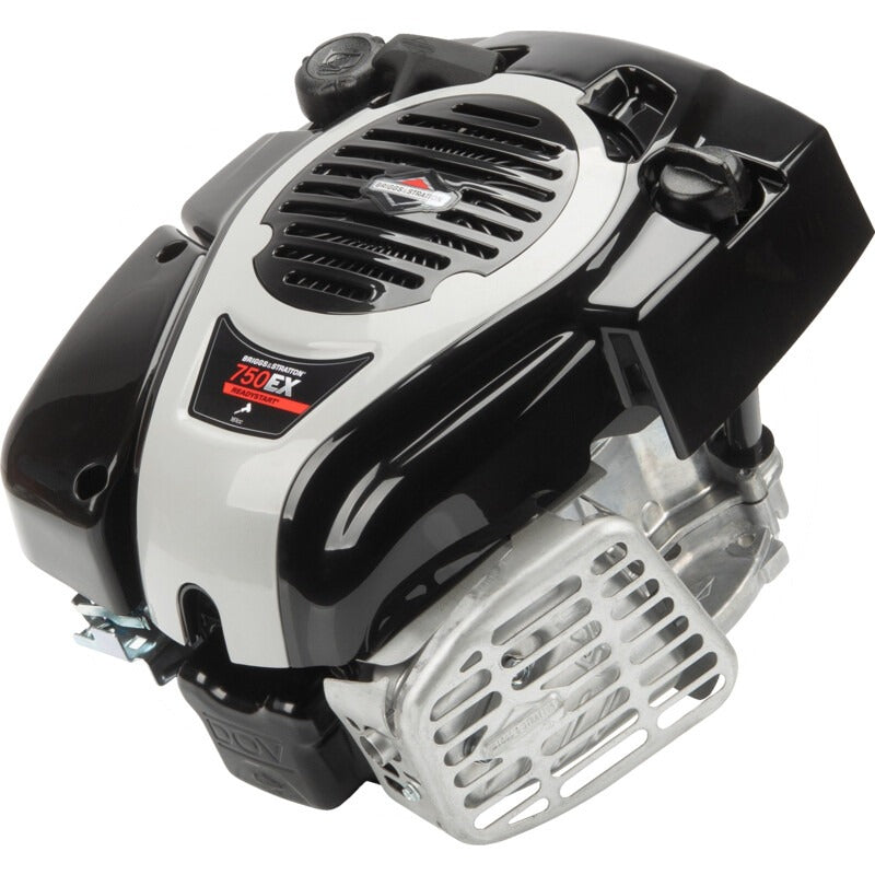 BRIGGS & STRATTON Motor – 1006022126H5YY7001