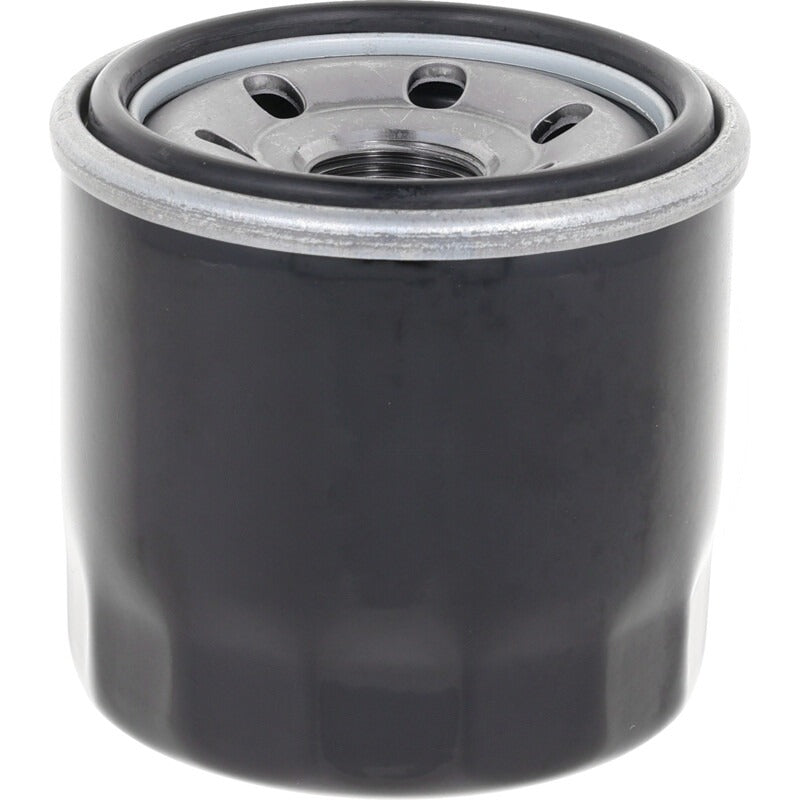 Emak Motorölfilter passend für K2400AVD V-Twin