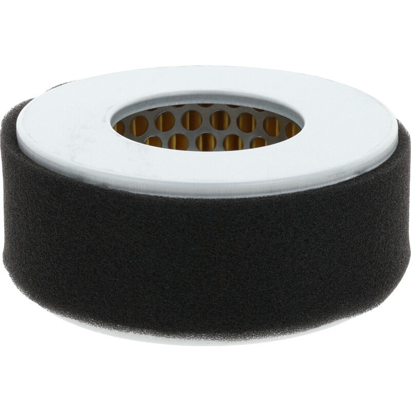 LONCIN Luftfilter passend für D230F, LCD170F