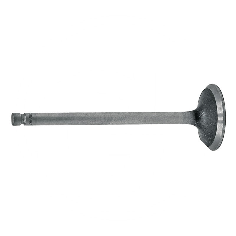 GRANIT Auslassventil – 4895188