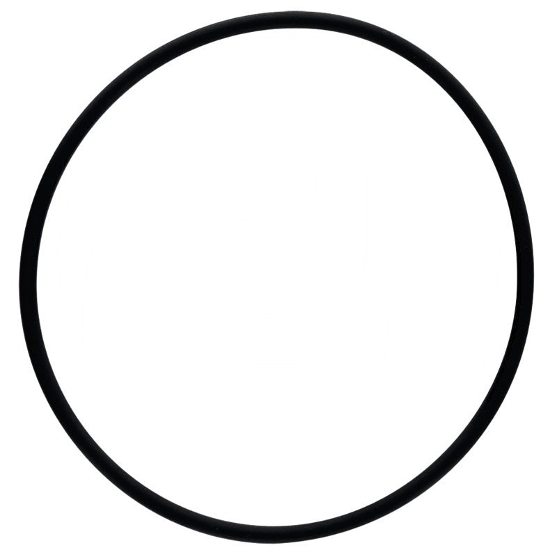 GRANIT O-Ring – 376946X1