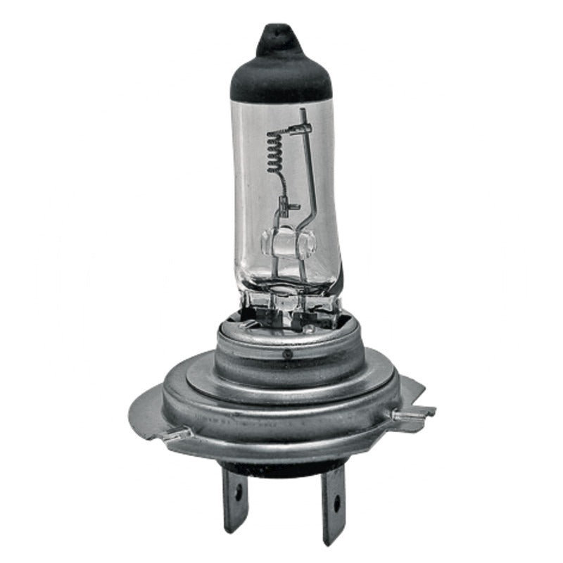 GRANIT Halogenlampe H7 passend für Haupt-, Nebel-, Arbeitsscheinwerfer – 41728GRNC1