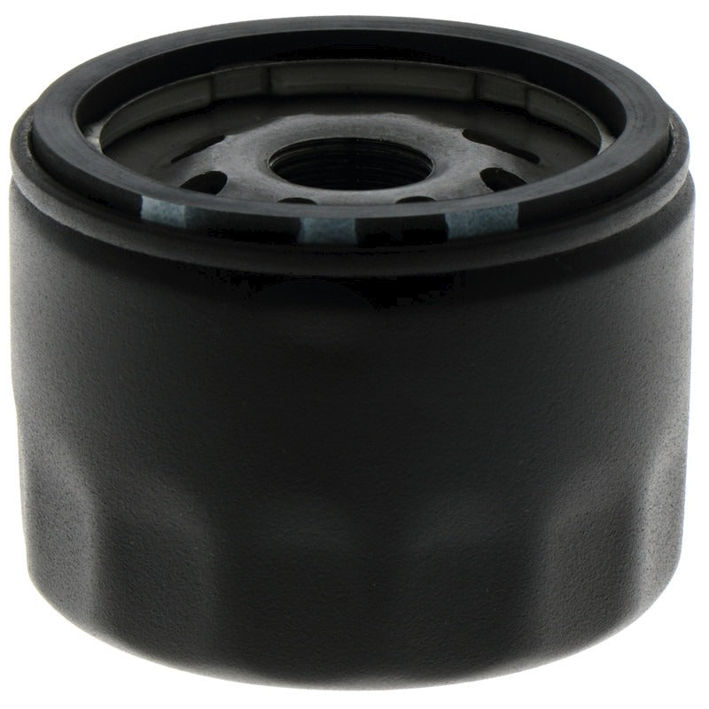 agria Motorölfilter Maschinentyp 9600-80/9600011