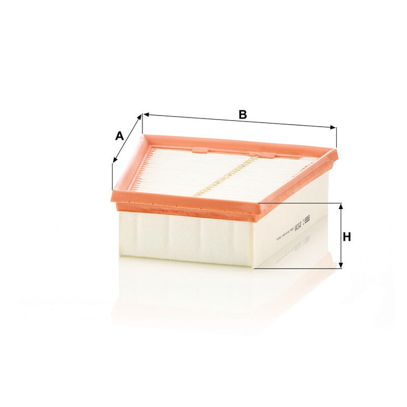 MANN FILTER Luftfilter C 2538 MANN FILTER