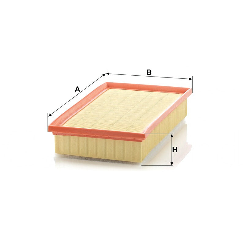 MANN FILTER Luftfilter C 29124 MANN FILTER