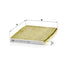 MANN FILTER Innenraumfilter FP 1936 MANN FILTER